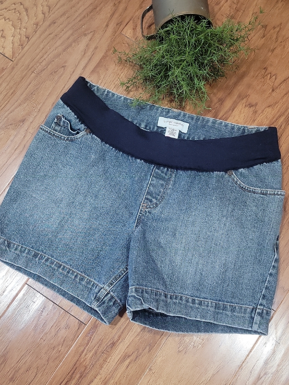 Liz Lange Maternity Shorts